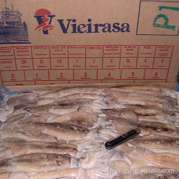 High Quality Bqf Frozen Argentina Illex Squid Loligo